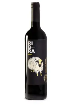 toser-crianza-do-ribera-del-duero-bodega-vino-de-pueblo